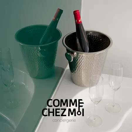 Le Loft And Garden & Appartamento Nancy