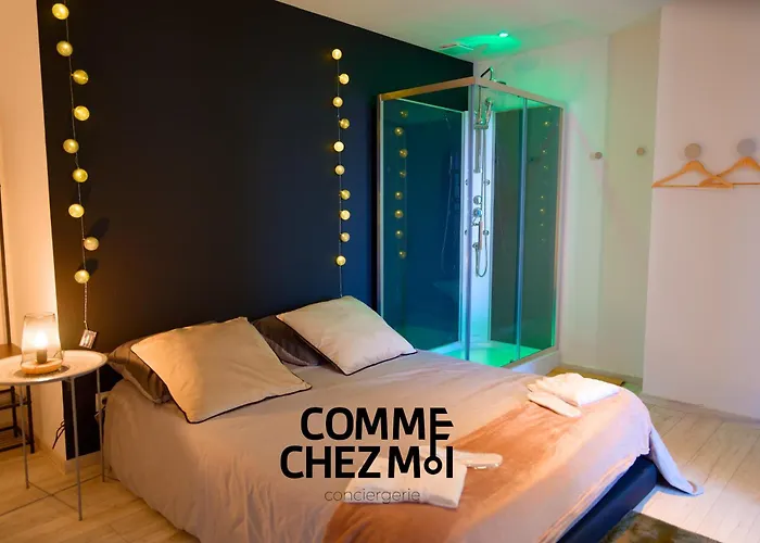 Le Loft And Garden & 公寓 南锡